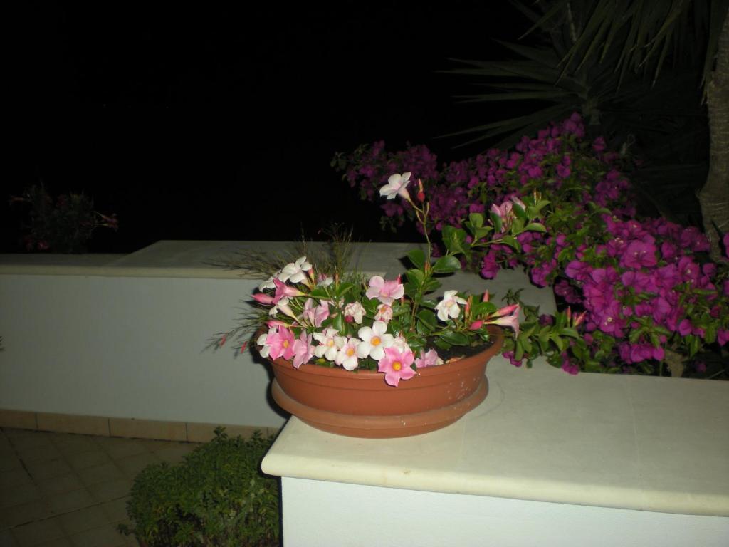 B&B Villa Colfiorito Gallipoli Kültér fotó